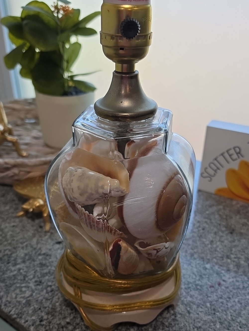 Shell Filled Glass Table Lamp Cream and Brown